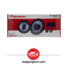 کامپوننت مدل TS-H650C پایونیر